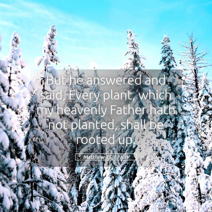 Matthew 15:13 — Square (1:1)