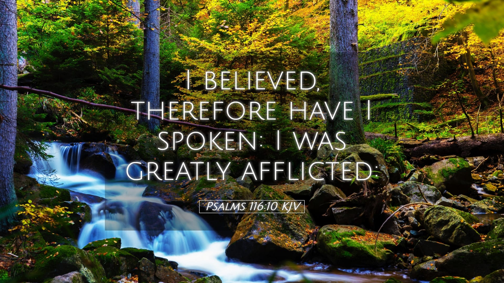 Psalms 116:10 — Desktop (Landscape)