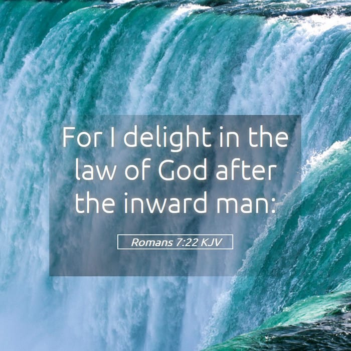 Romans 7:22 — Square (1:1)