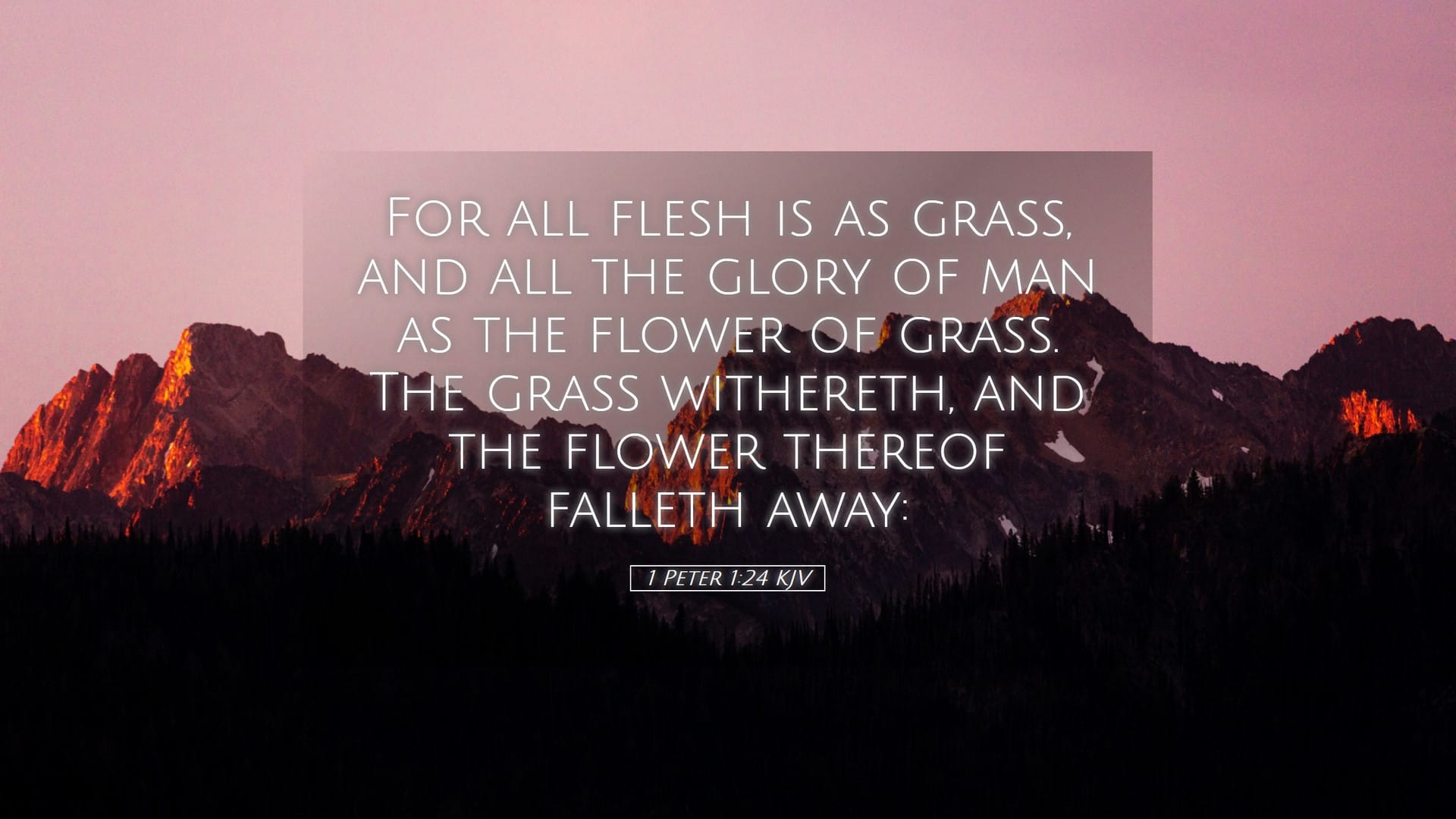 1 Peter 1:24 — Desktop (Landscape)