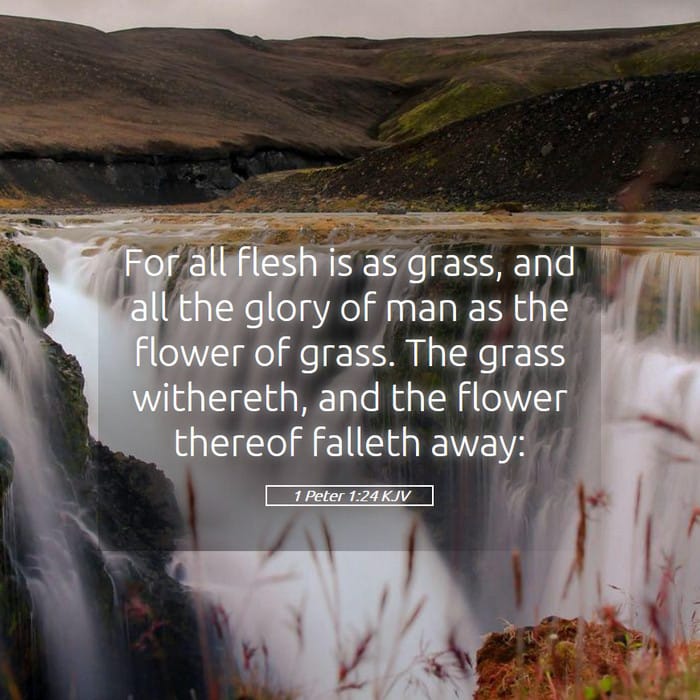 1 Peter 1:24 — Square (1:1)