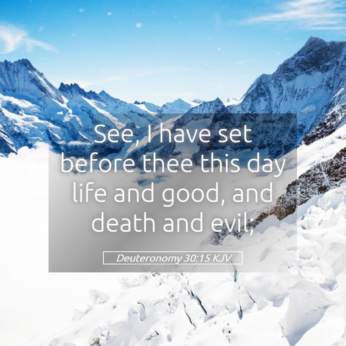 Deuteronomy 30:15 — Square (1:1)