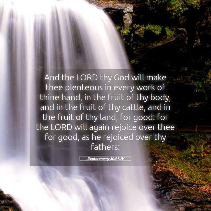 Deuteronomy 30:9 — Square (1:1)