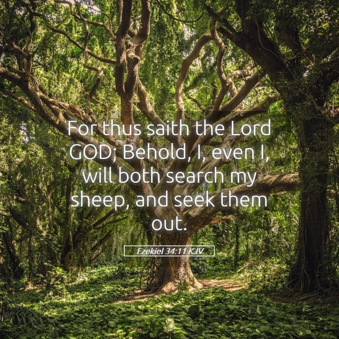 Ezekiel 34:11 — Square (1:1)