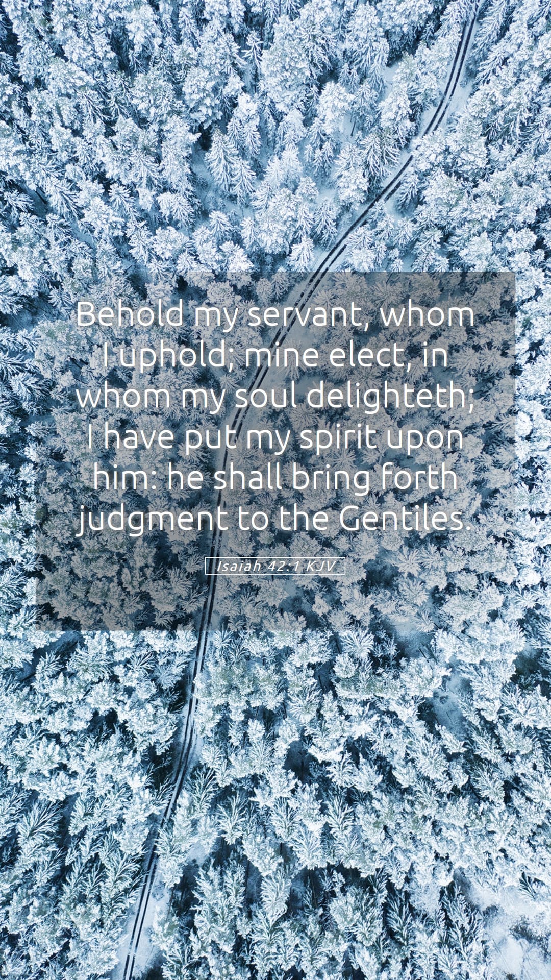 Isaiah 42:1 — Mobile (Portrait)