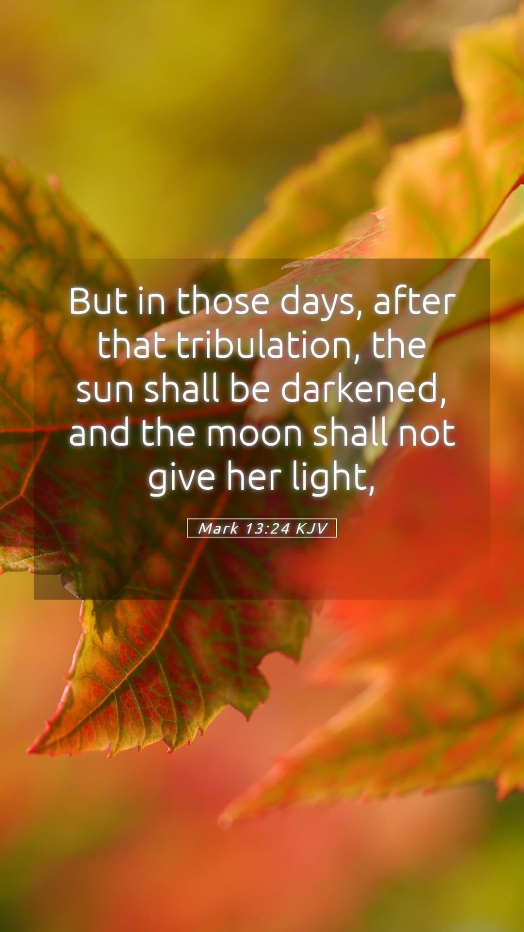 Mark 13:24 — Mobile (Portrait)