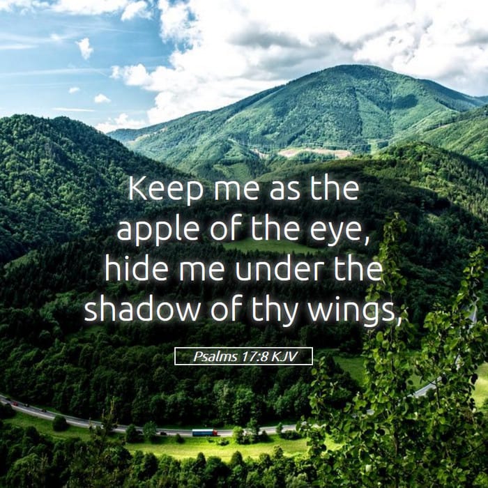 Psalms 17:8 — Square (1:1)