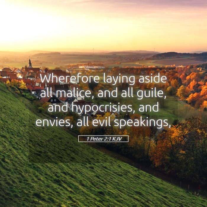 1 Peter 2:1 — Square (1:1)