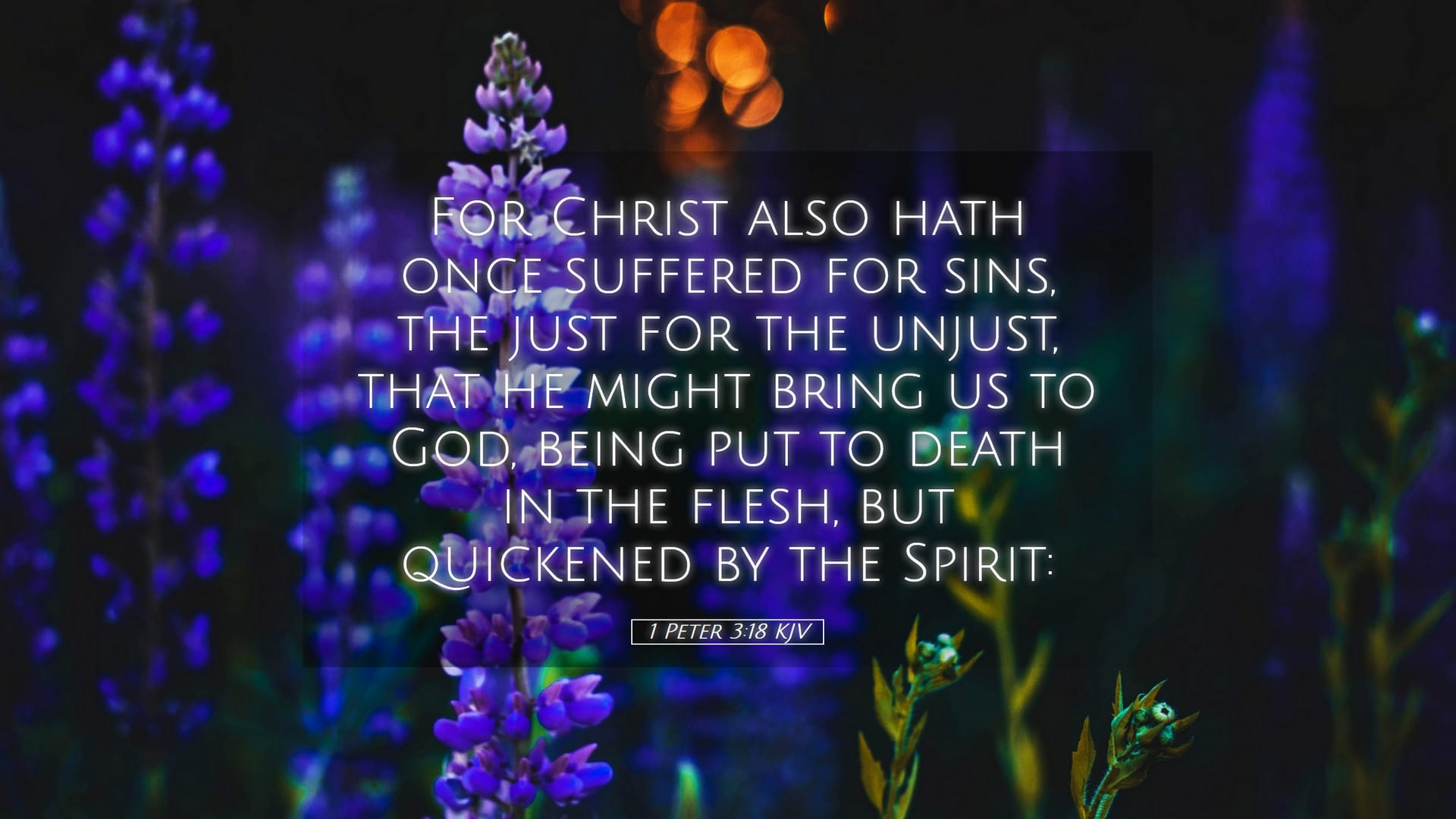 1 Peter 3:18 — Desktop (Landscape)