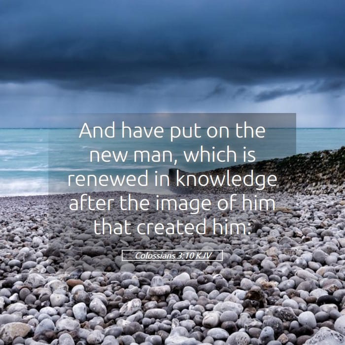 Colossians 3:10 — Square (1:1)