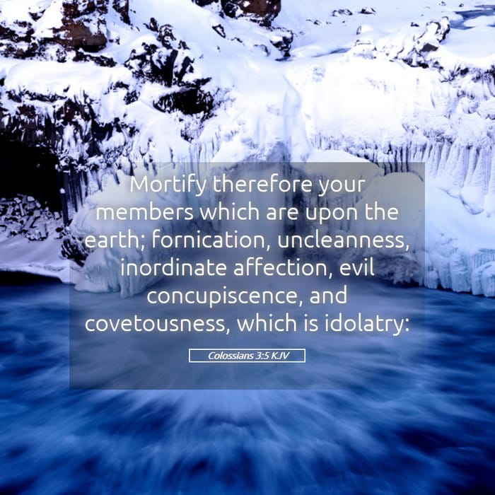 Colossians 3:5 — Square (1:1)