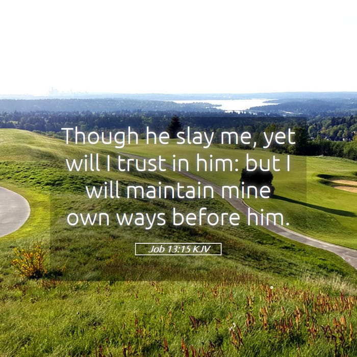Job 13:15 — Square (1:1)