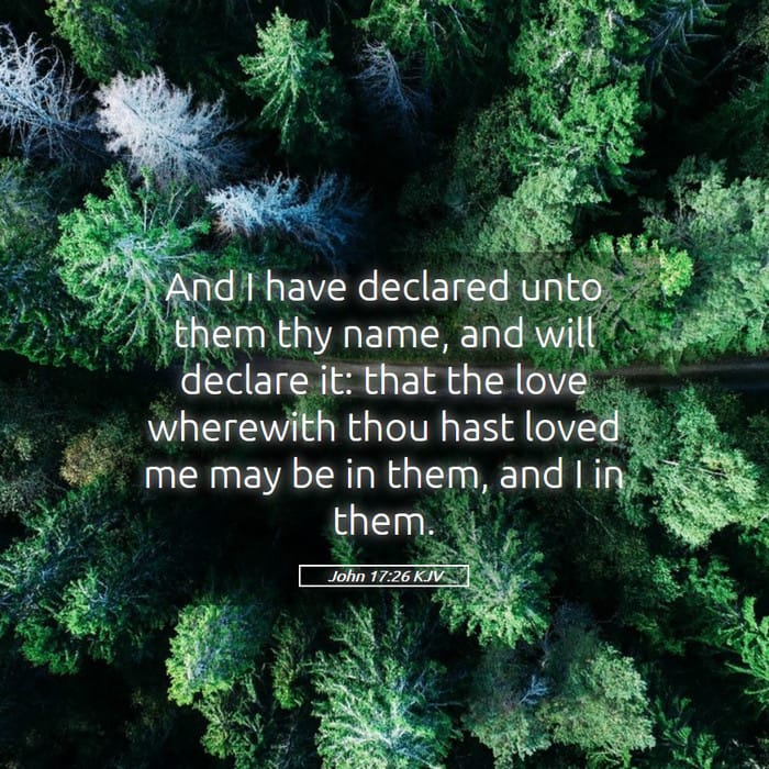 John 17:26 — Square (1:1)