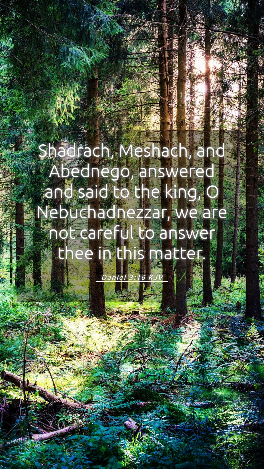 Daniel 3:16 — Mobile (Portrait)