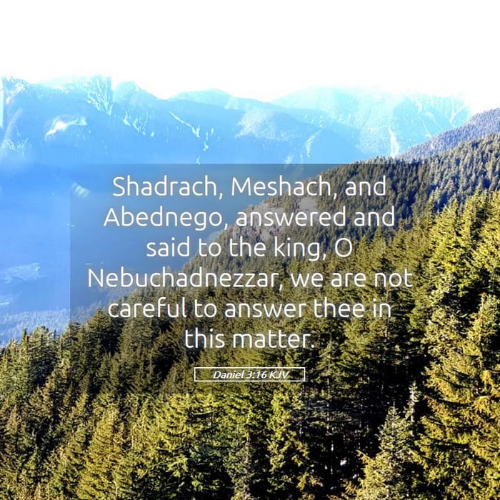 Daniel 3:16 — Square (1:1)