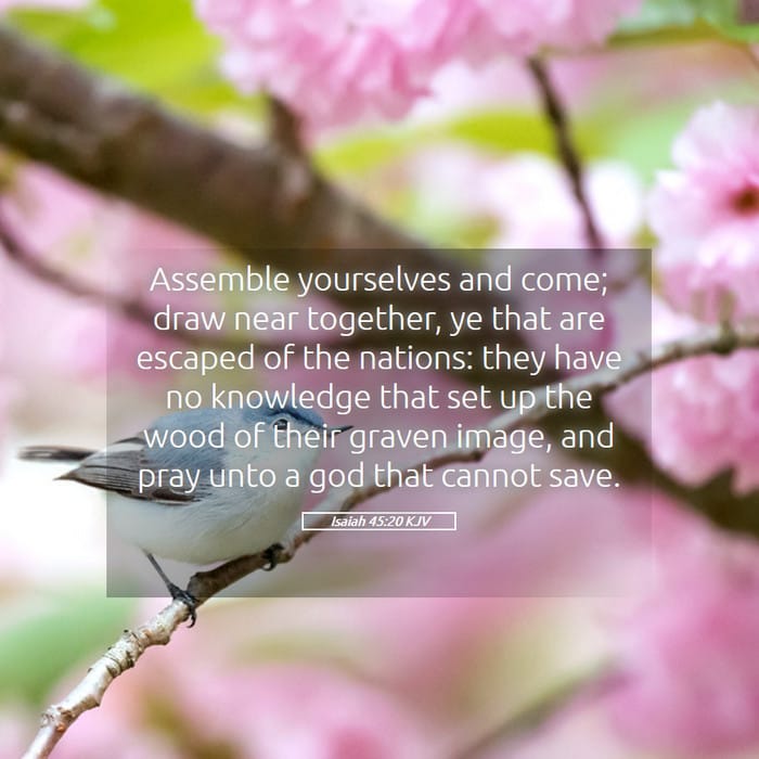 Isaiah 45:20 — Square (1:1)