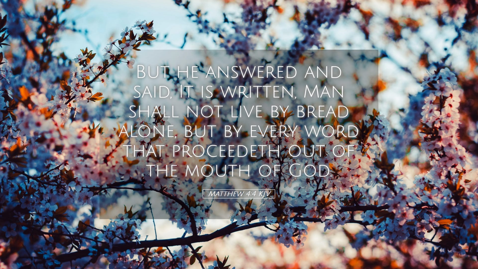 Matthew 4:4 — Desktop (Landscape)