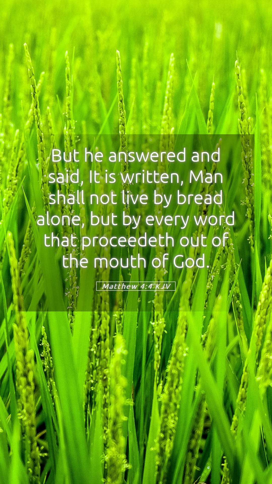 Matthew 4:4 — Mobile (Portrait)