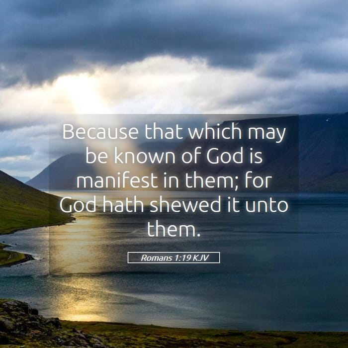 Romans 1:19 — Square (1:1)