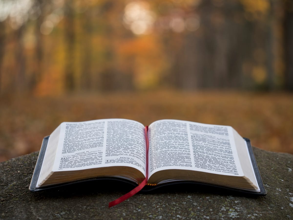 Prayer of the Day (1 Kings 8:36)