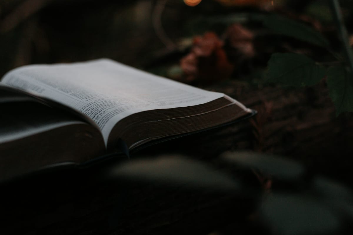 Prayer of the Day (Isaiah 45:25)