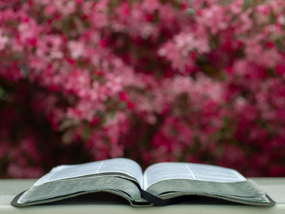 Prayer of the Day (Isaiah 45:20)
