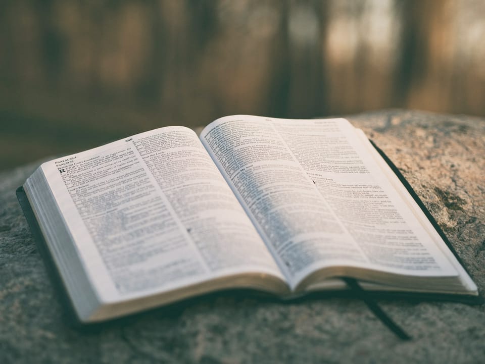 Prayer of the Day (Matthew 15:13)