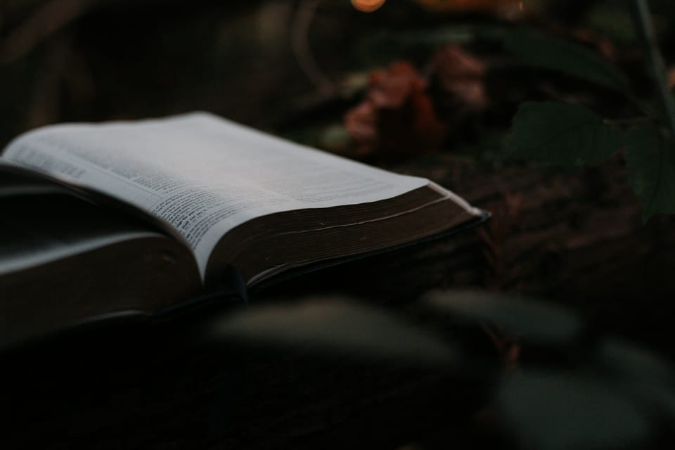 Prayer of the Day (Isaiah 45:25)