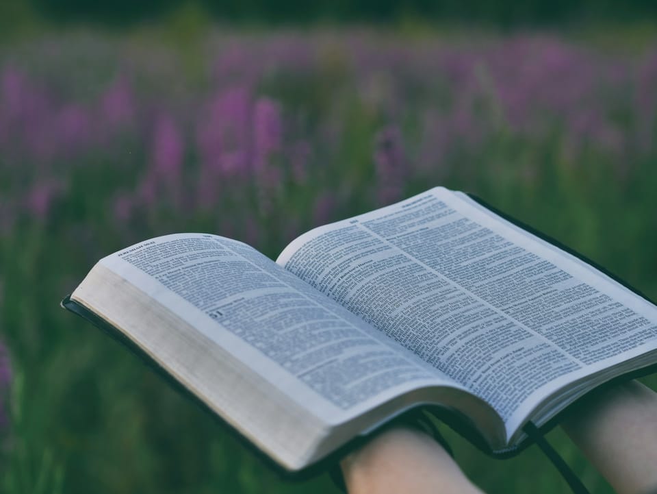 Prayer of the Day (Mark 13:24)
